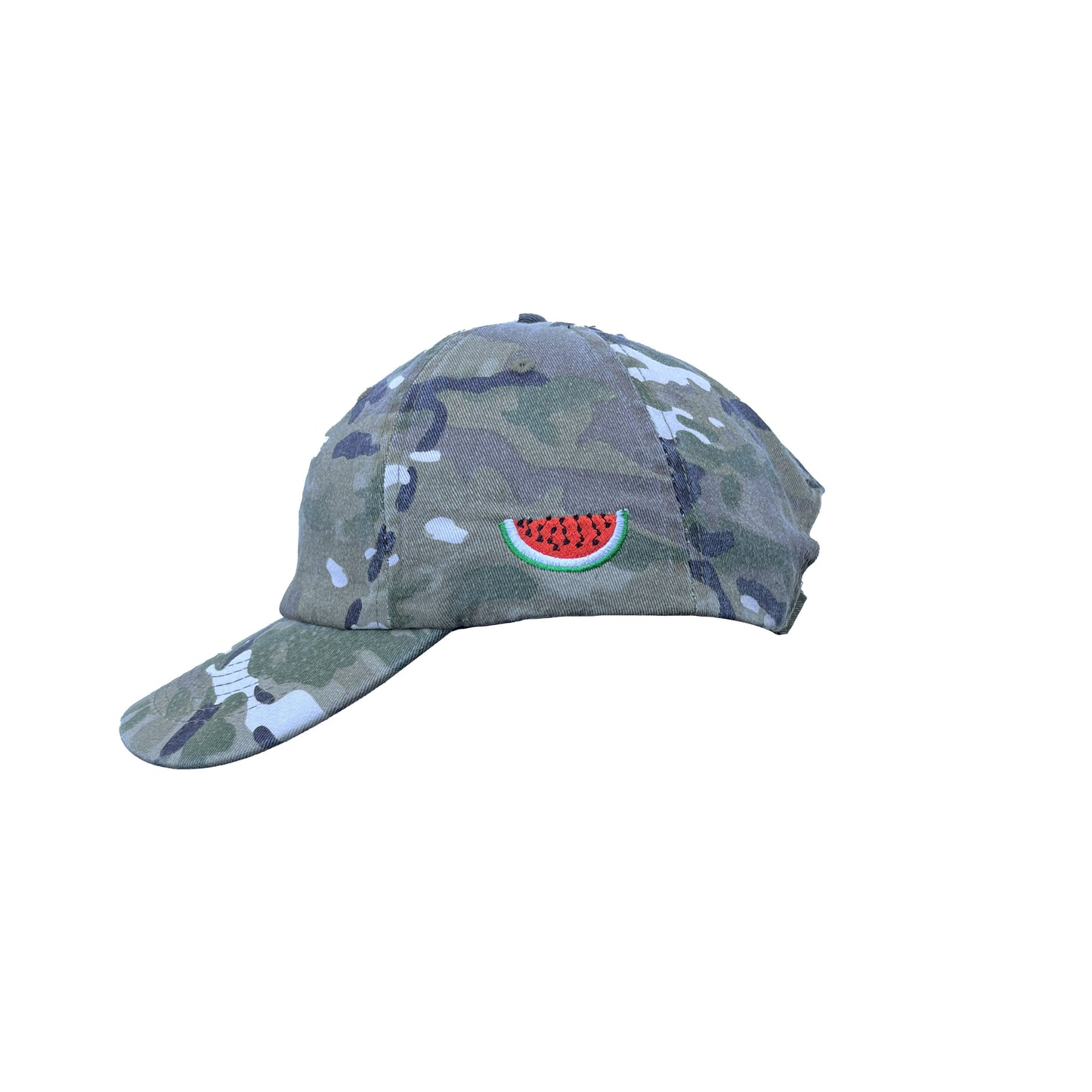 RESISTANCE CAP// CAMO